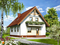 Pełnobranżowe odbicie lustrzane - Dom w prymulkach 2