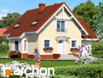 Pełnobranżowe odbicie lustrzane - Dom we frezjach