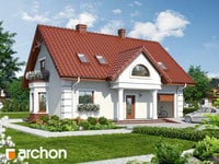 Pełnobranżowe odbicie lustrzane - Dom w winorośli 3
