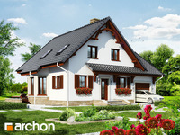 Pełnobranżowe odbicie lustrzane - Dom w tamaryszkach (P)