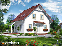 Pełnobranżowe odbicie lustrzane - Dom w oleandrach