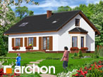 Pełnobranżowe odbicie lustrzane - Dom w jeżynach (PD)