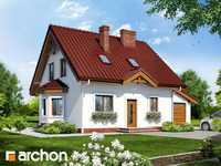 Pełnobranżowe odbicie lustrzane - Dom w poziomkach 3 (G)