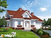 Pełnobranżowe odbicie lustrzane - Dom w werbenach (P)