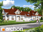 Pełnobranżowe odbicie lustrzane - Dom w werbenach 3 (B)