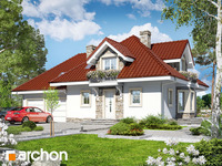 Pełnobranżowe odbicie lustrzane - Dom w nektarynkach (G2)