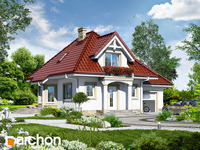 Pełnobranżowe odbicie lustrzane - Dom w winogronach 3