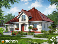 Pełnobranżowe odbicie lustrzane - Dom w robiniach 2