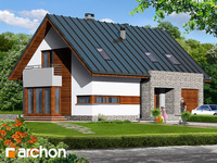 Pełnobranżowe odbicie lustrzane - Dom w dracenach