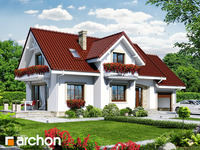 Pełnobranżowe odbicie lustrzane -  Dom w lobeliach 2
