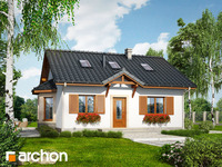 Pełnobranżowe odbicie lustrzane - Dom w jagodach (PD)
