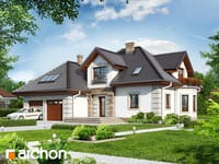 Pełnobranżowe odbicie lustrzane - Dom w nektarynkach 3