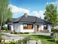 Pełnobranżowe odbicie lustrzane - Dom we wrzosach