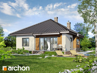 Pełnobranżowe odbicie lustrzane - Dom w dereniach