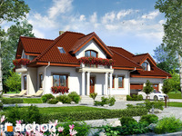 Pełnobranżowe odbicie lustrzane - Dom w werbenach 6 (G2)