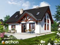 Pełnobranżowe odbicie lustrzane - Dom w borówkach 3
