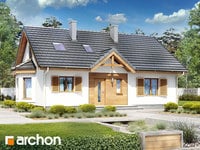 Pełnobranżowe odbicie lustrzane - Dom w jeżynach 2 (PD)