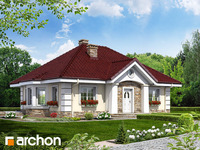 Pełnobranżowe odbicie lustrzane - Dom w lotosach 2