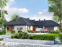 Pełnobranżowe odbicie lustrzane - Dom w makach