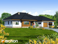 Pełnobranżowe odbicie lustrzane - Dom w akebiach 2