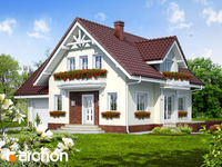 Pełnobranżowe odbicie lustrzane - Dom w antonówkach 2 (G)