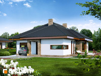 Pełnobranżowe odbicie lustrzane - Dom w cyprysikach