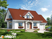 Pełnobranżowe odbicie lustrzane - Dom w werbenach 7