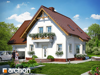 Pełnobranżowe odbicie lustrzane - Dom w winogronach 5