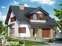 Pełnobranżowe odbicie lustrzane - Dom w dmuchawcach (N)
