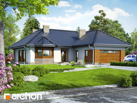 Pełnobranżowe odbicie lustrzane - Dom w gardeniach